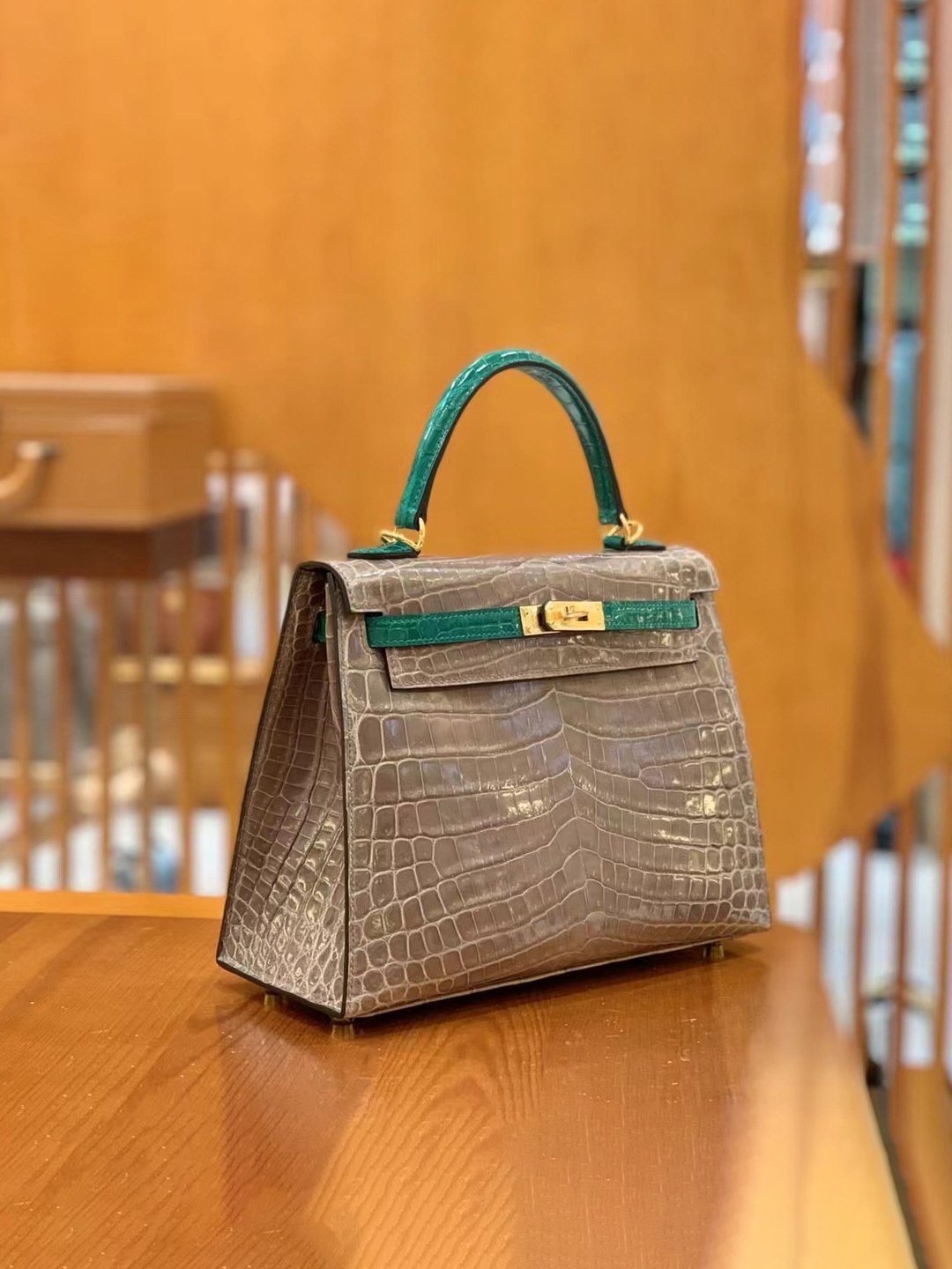 Glossy Nile Crocodile Color-Block Handbag